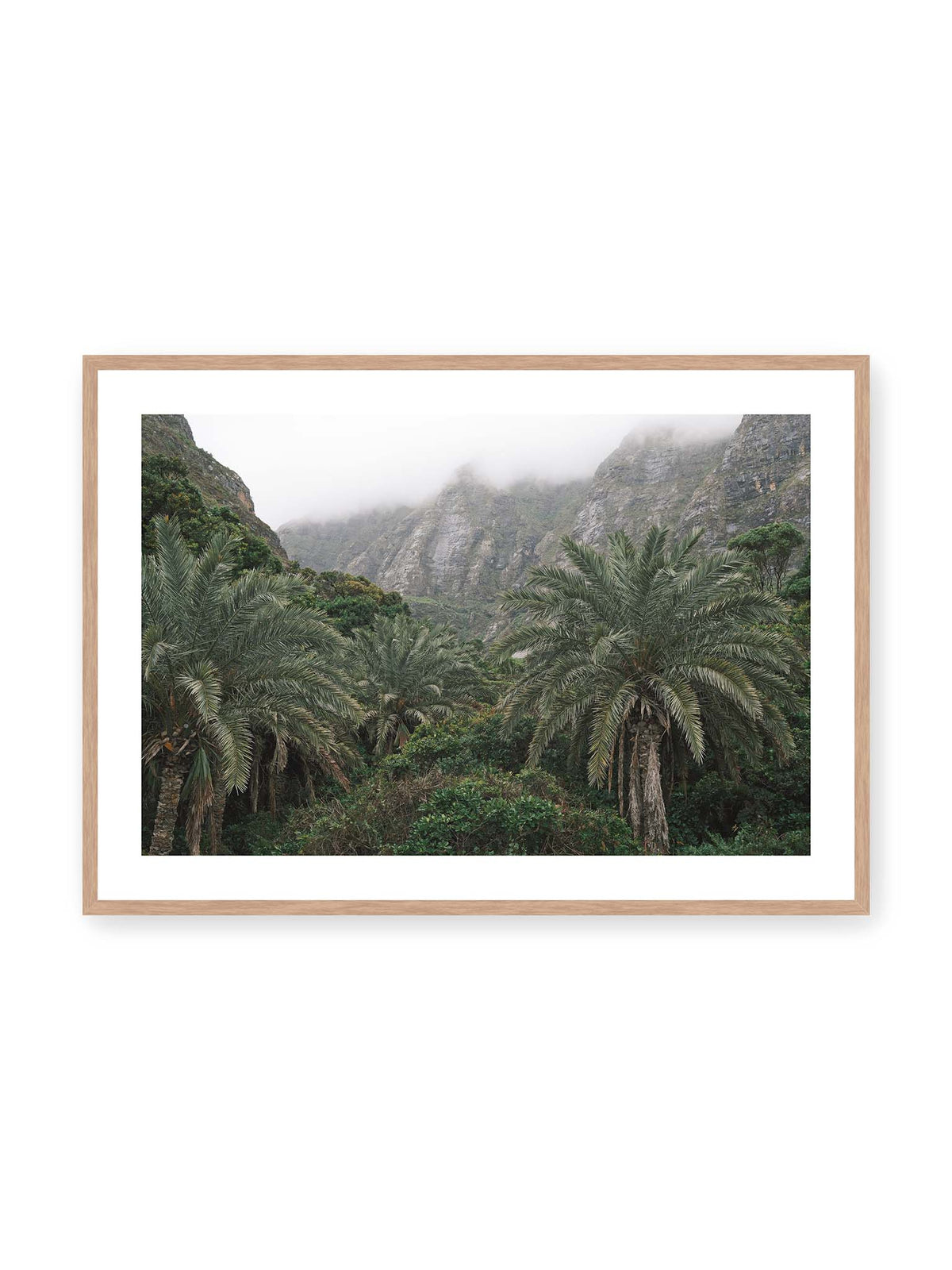 100x70 cm, weißer Galerie-Rand, Eichenrahmen – Dichte Palmen und grüne Vegetation vor steilen, teilweise von Nebel verhüllten Felswänden.