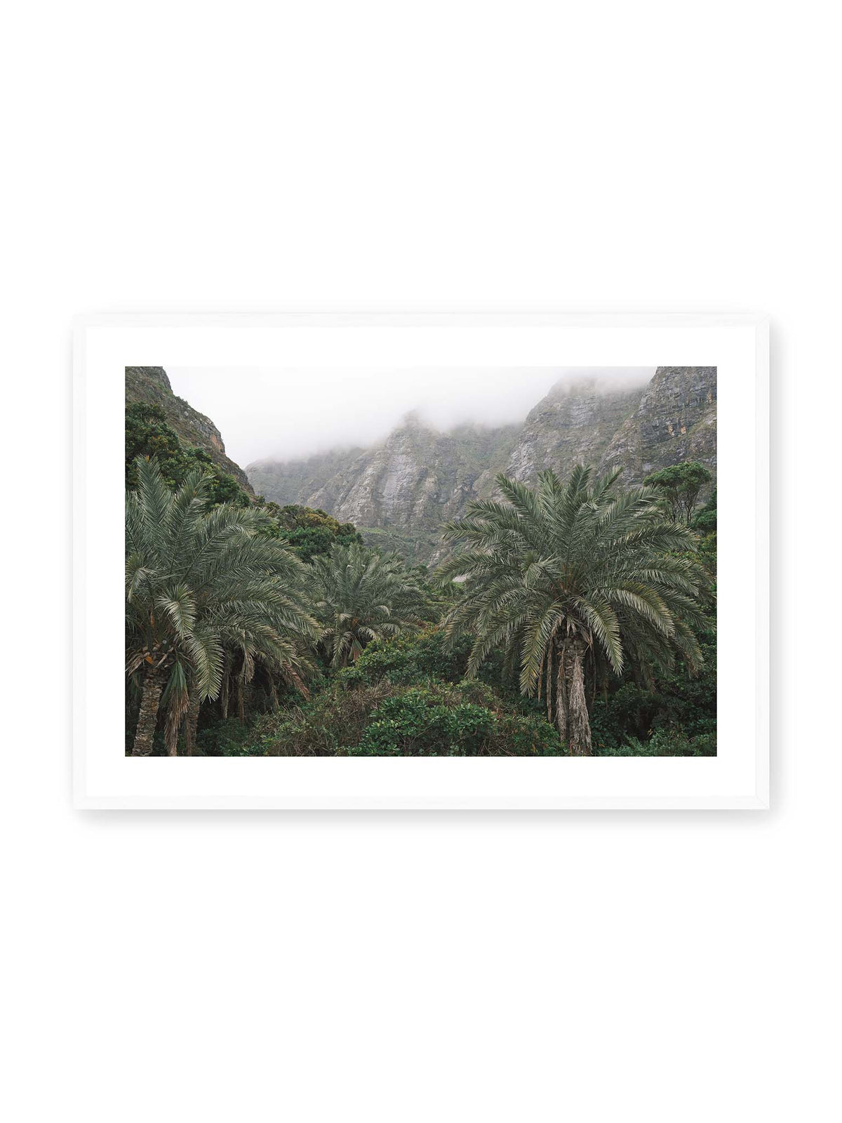 100x70 cm, weißer Galerie-Rand, weißer Rahmen – Dichte Palmen und grüne Vegetation vor steilen, teilweise von Nebel verhüllten Felswänden.
