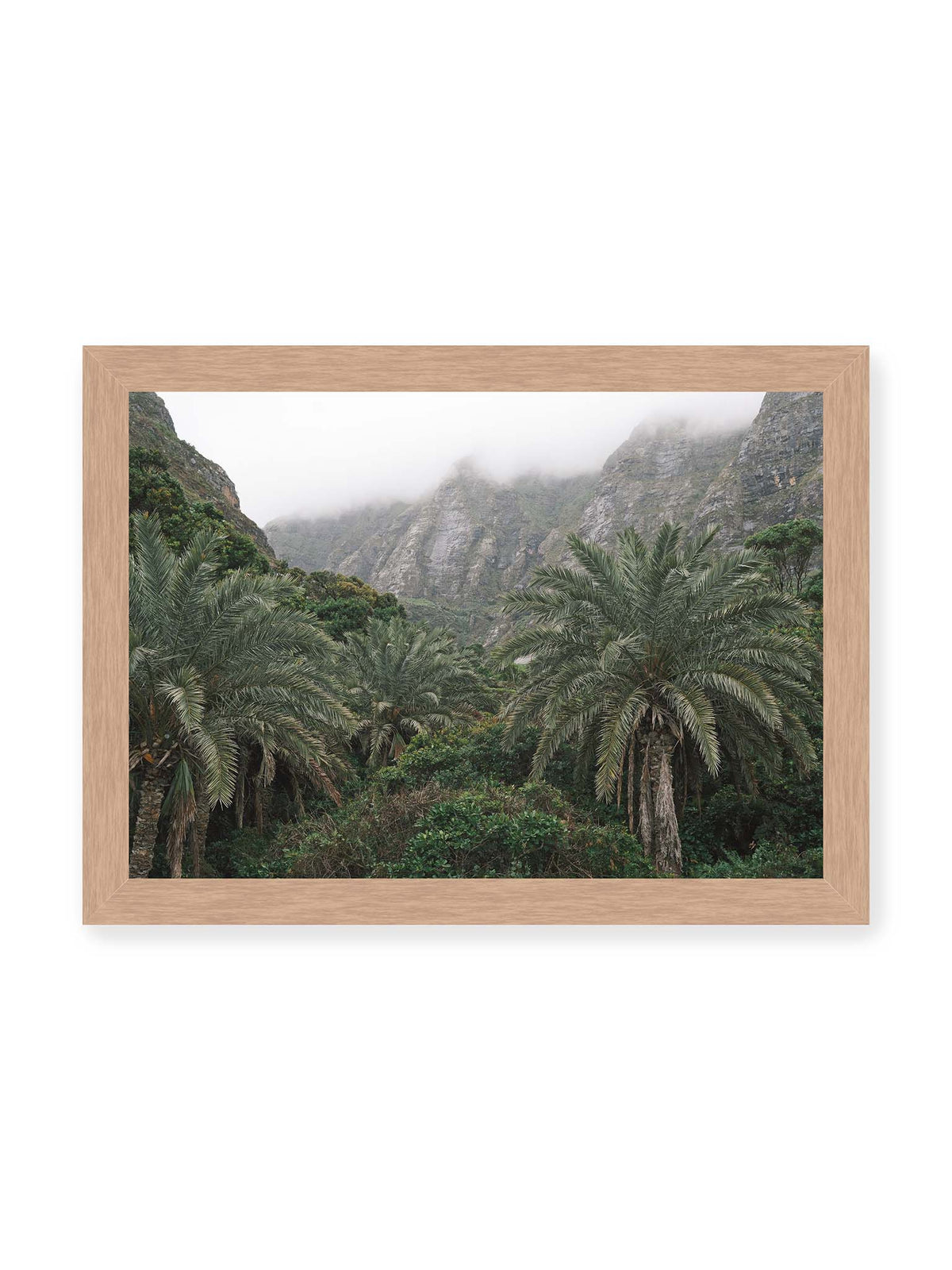 30x21 cm, Eichenrahmen – Dichte Palmen und grüne Vegetation vor steilen, teilweise von Nebel verhüllten Felswänden.