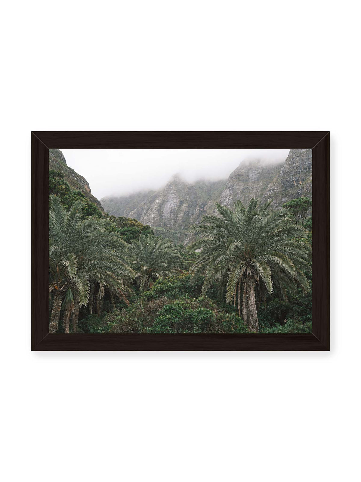 30x21 cm, schwarzer Rahmen – Dichte Palmen und grüne Vegetation vor steilen, teilweise von Nebel verhüllten Felswänden.