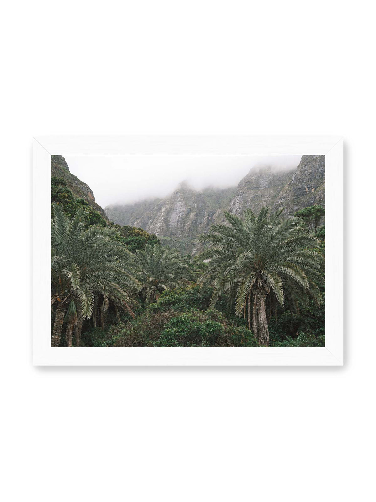 30x21 cm, weißer Rahmen – Dichte Palmen und grüne Vegetation vor steilen, teilweise von Nebel verhüllten Felswänden.