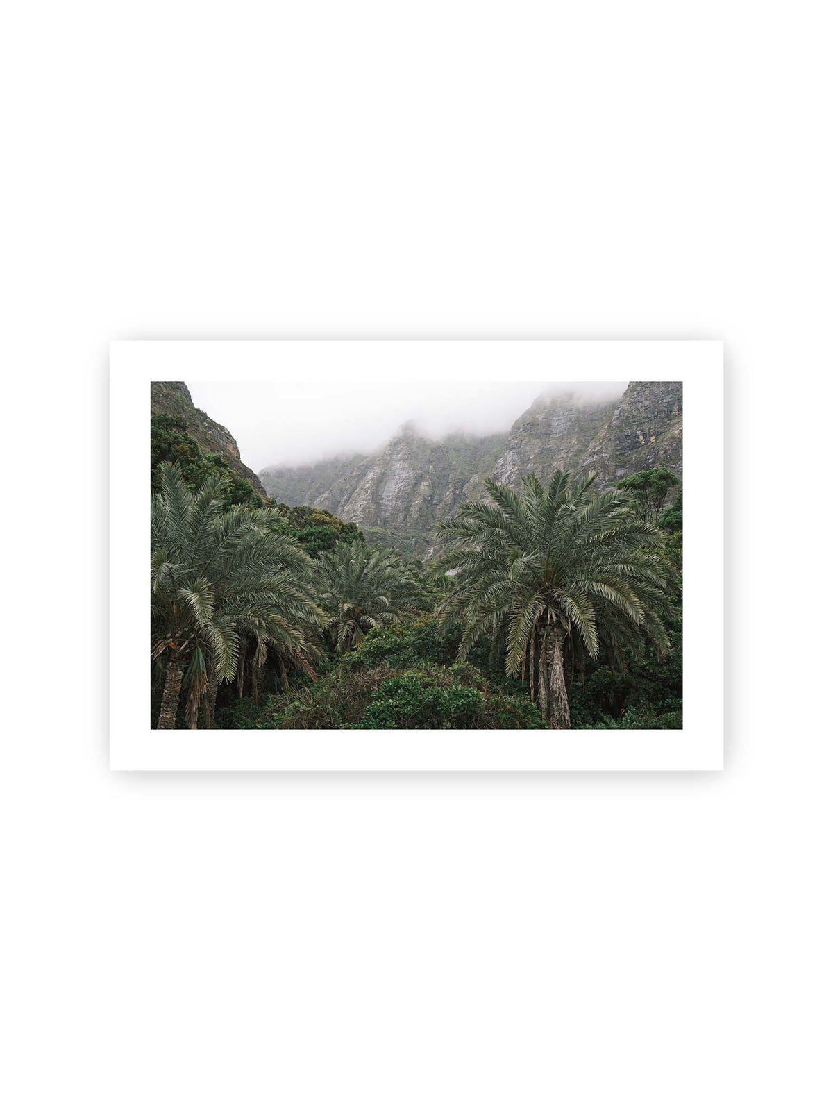 30x21 cm, weißer Galerie-Rand – Dichte Palmen und grüne Vegetation vor steilen, teilweise von Nebel verhüllten Felswänden.