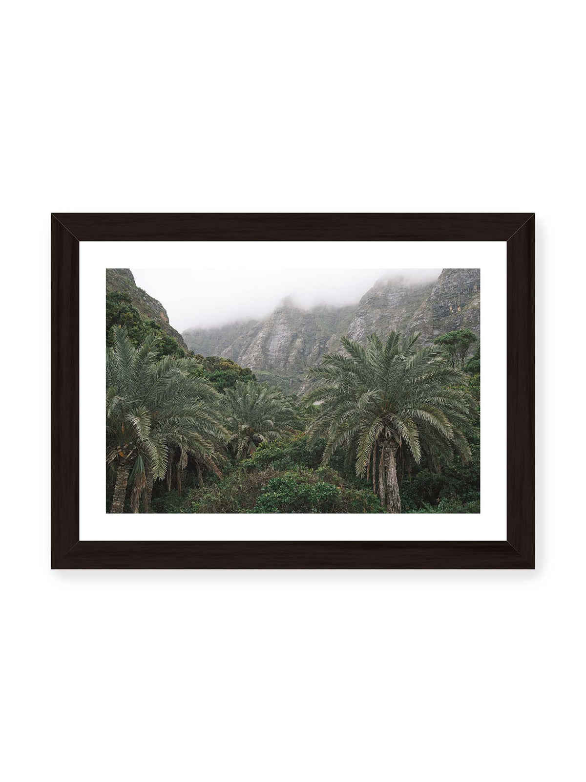 30x21 cm, weißer Galerie-Rand, schwarzer Rahmen – Dichte Palmen und grüne Vegetation vor steilen, teilweise von Nebel verhüllten Felswänden.