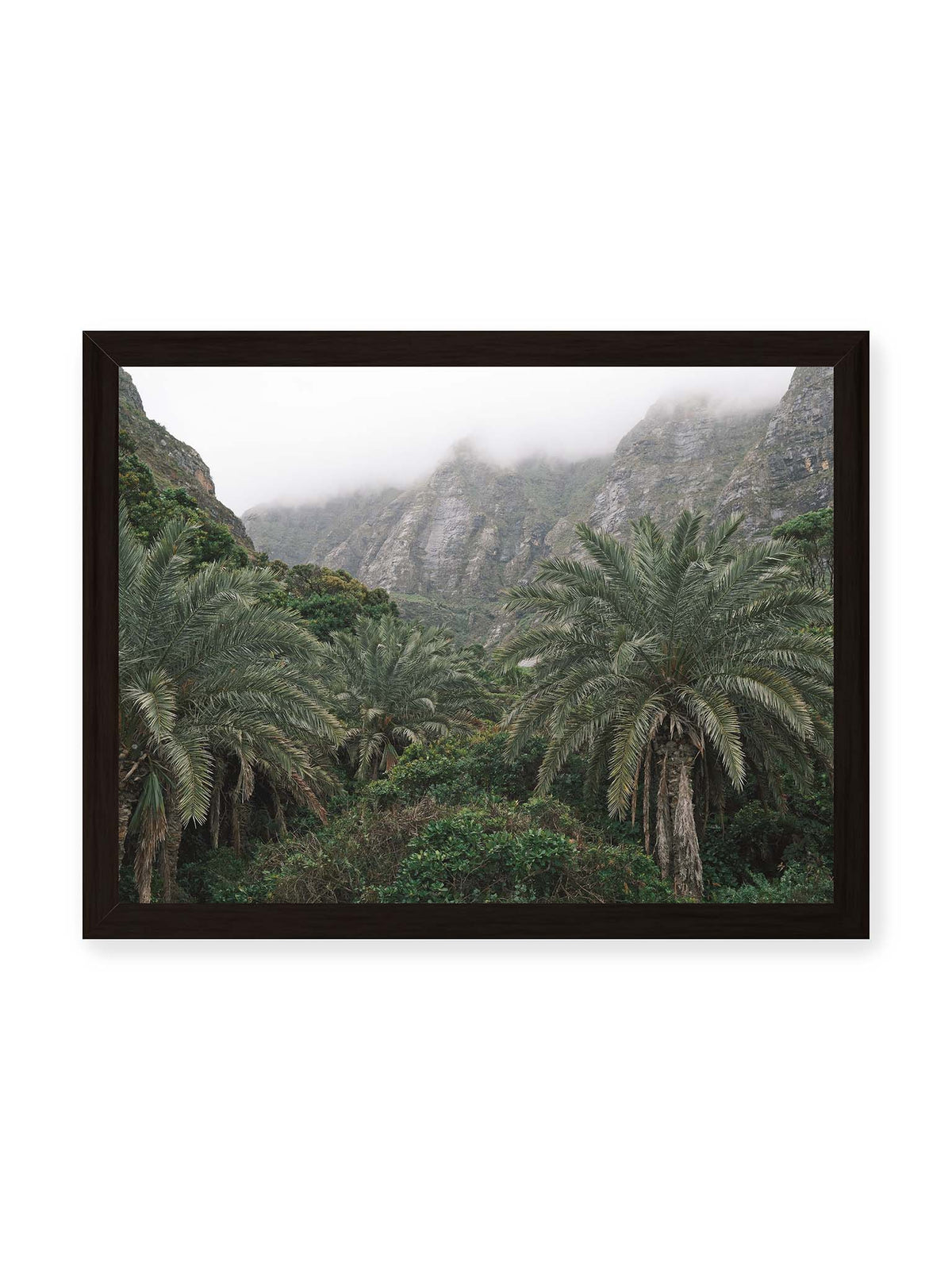 40x30 cm, schwarzer Rahmen – Dichte Palmen und grüne Vegetation vor steilen, teilweise von Nebel verhüllten Felswänden.