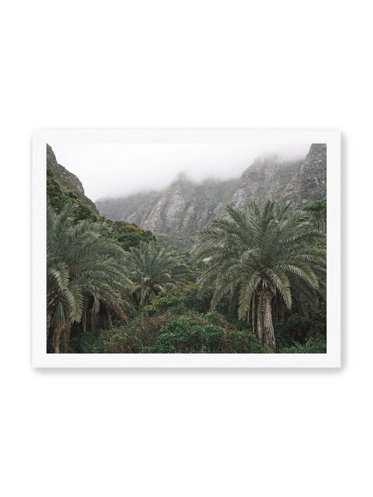 40x30 cm, weißer Rahmen – Dichte Palmen und grüne Vegetation vor steilen, teilweise von Nebel verhüllten Felswänden.