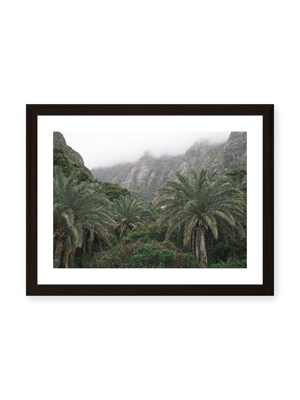 40x30 cm, weißer Galerie-Rand, schwarzer Rahmen – Dichte Palmen und grüne Vegetation vor steilen, teilweise von Nebel verhüllten Felswänden.