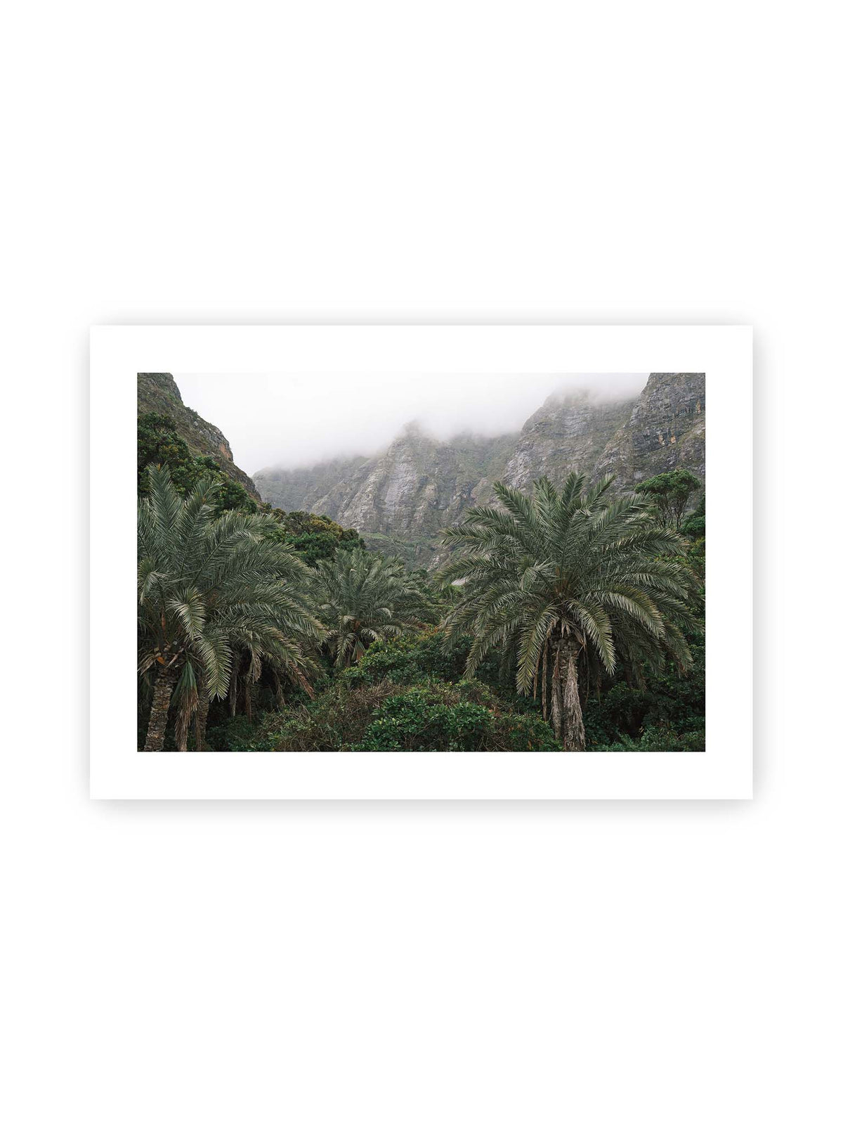70x50 cm, weißer Galerie-Rand – Dichte Palmen und grüne Vegetation vor steilen, teilweise von Nebel verhüllten Felswänden.