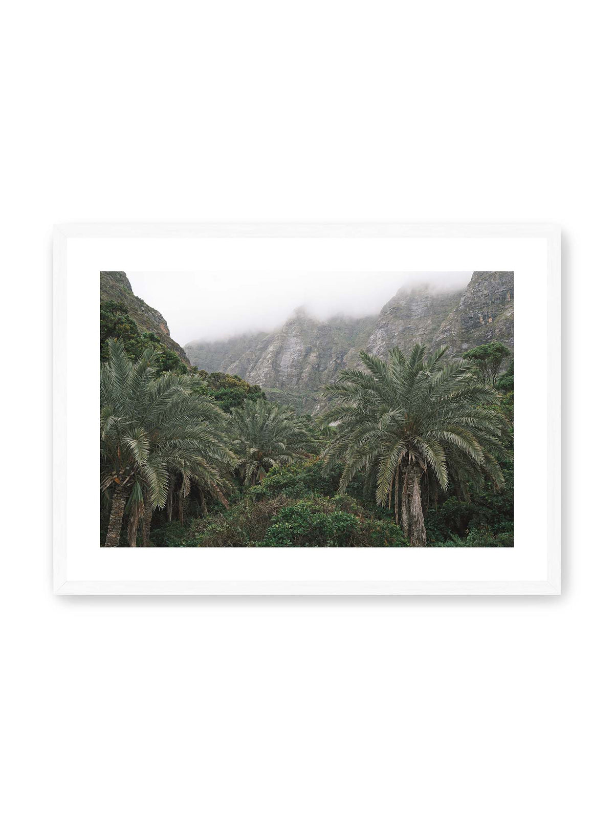 70x50 cm, weißer Galerie-Rand, weißer Rahmen – Dichte Palmen und grüne Vegetation vor steilen, teilweise von Nebel verhüllten Felswänden.