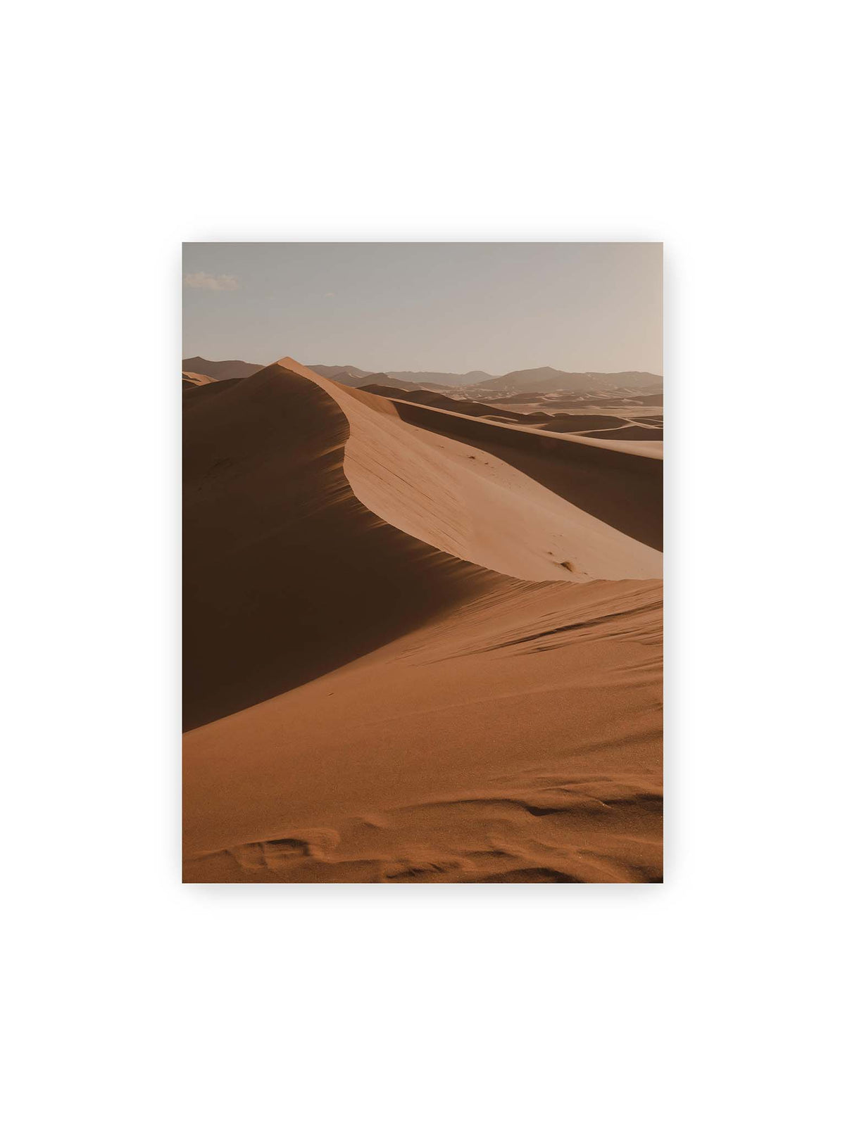 30x40 cm – Geschwungene Sanddünen mit warm beleuchteten Kämmen und tiefen Schatten vor einem hellen Himmel.