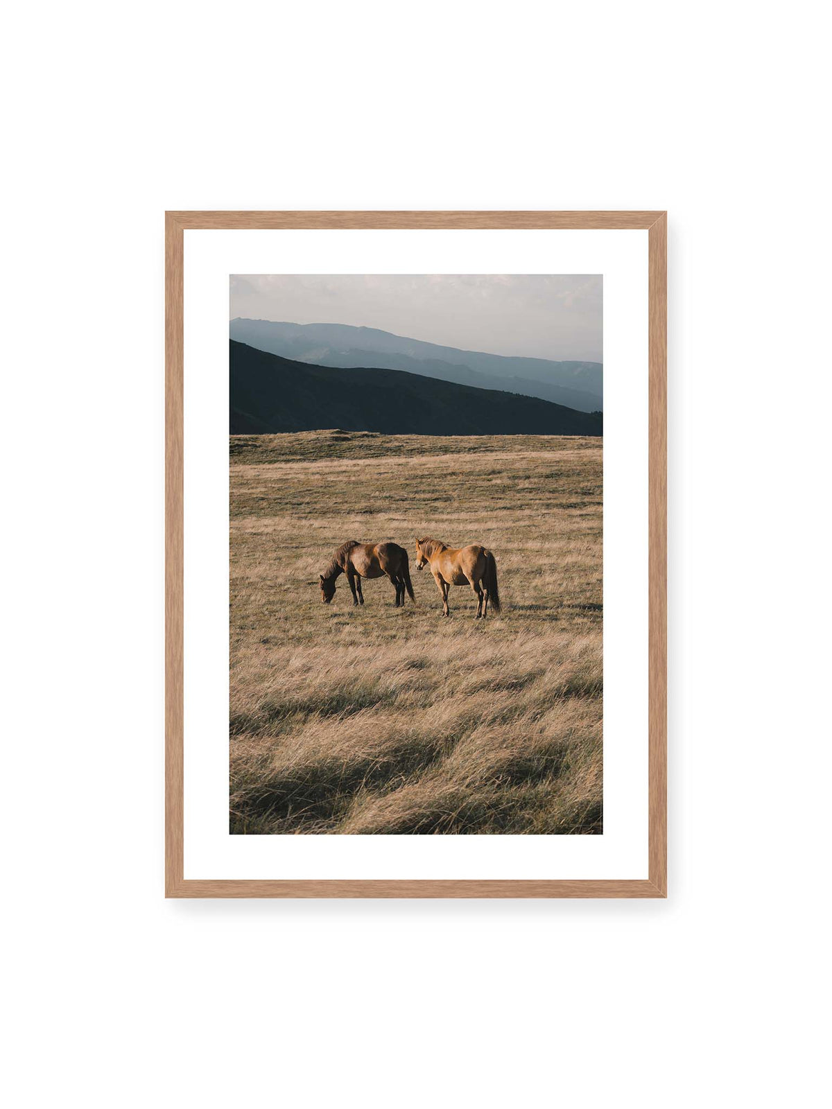 Open Country