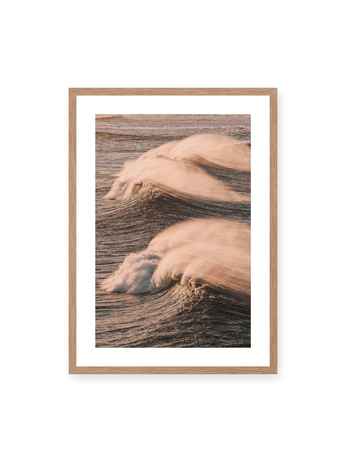 Shape of Motion