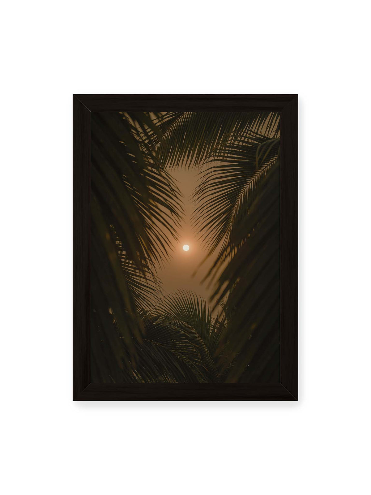 21x30 cm, schwarzer Rahmen – Helle Sonne zwischen dunklen, überlagernden Palmwedeln vor einem warm orangefarbenen Himmel.
