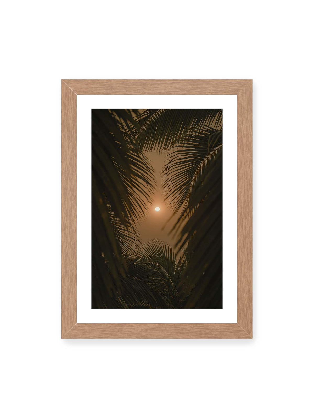 21x30 cm, weißer Galerie-Rand, Eichenrahmen – Helle Sonne zwischen dunklen, überlagernden Palmwedeln vor einem warm orangefarbenen Himmel.