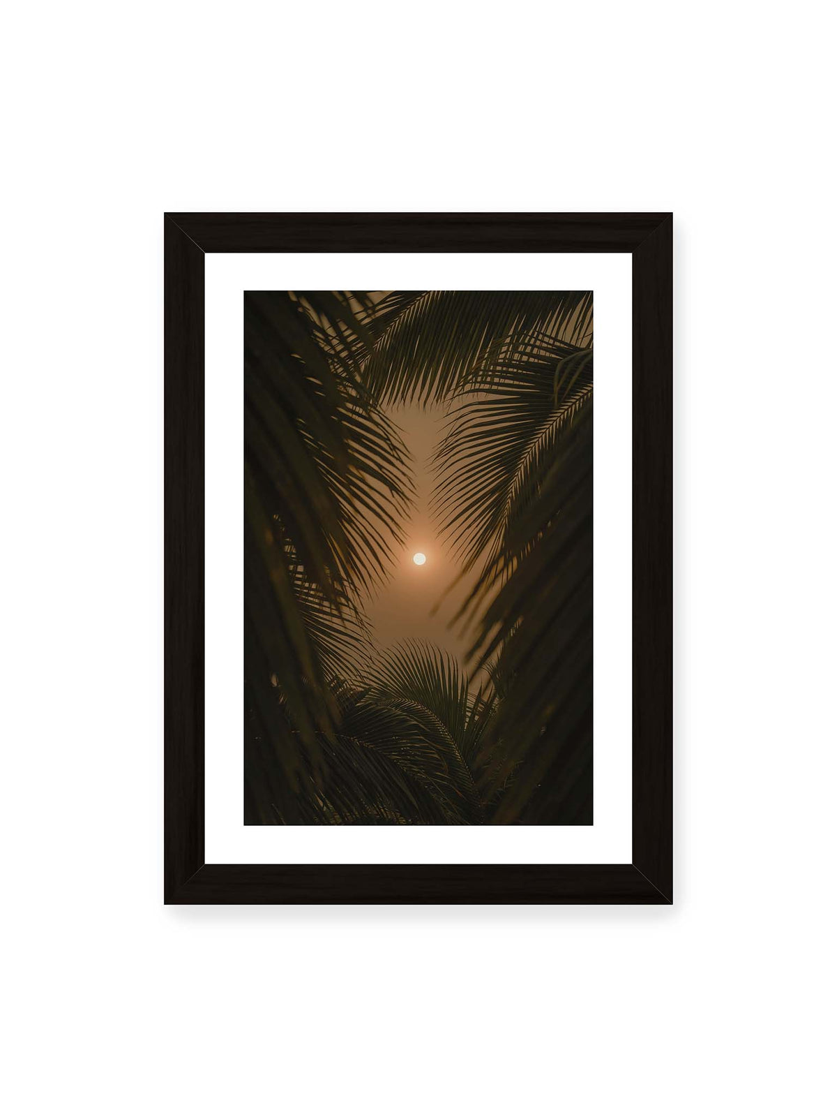 21x30 cm, weißer Galerie-Rand, schwarzer Rahmen – Helle Sonne zwischen dunklen, überlagernden Palmwedeln vor einem warm orangefarbenen Himmel.