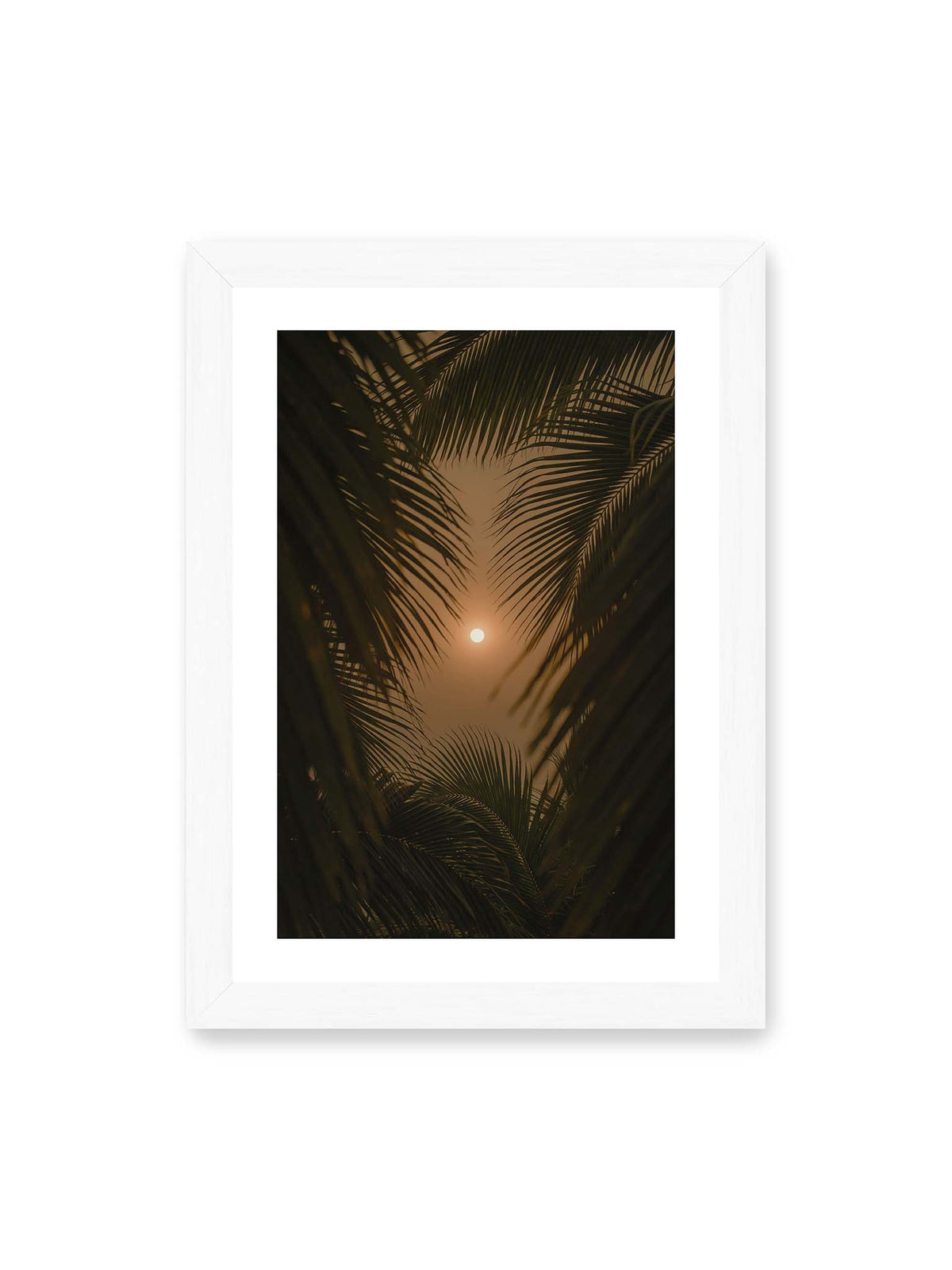 21x30 cm, weißer Galerie-Rand, weißer Rahmen – Helle Sonne zwischen dunklen, überlagernden Palmwedeln vor einem warm orangefarbenen Himmel.