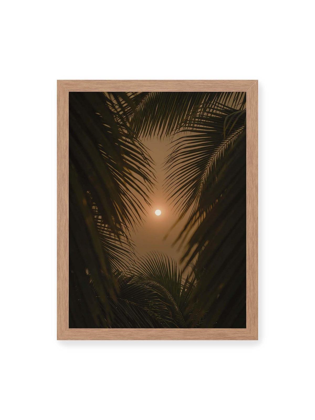 30x40 cm, Eichenrahmen – Helle Sonne zwischen dunklen, überlagernden Palmwedeln vor einem warm orangefarbenen Himmel.
