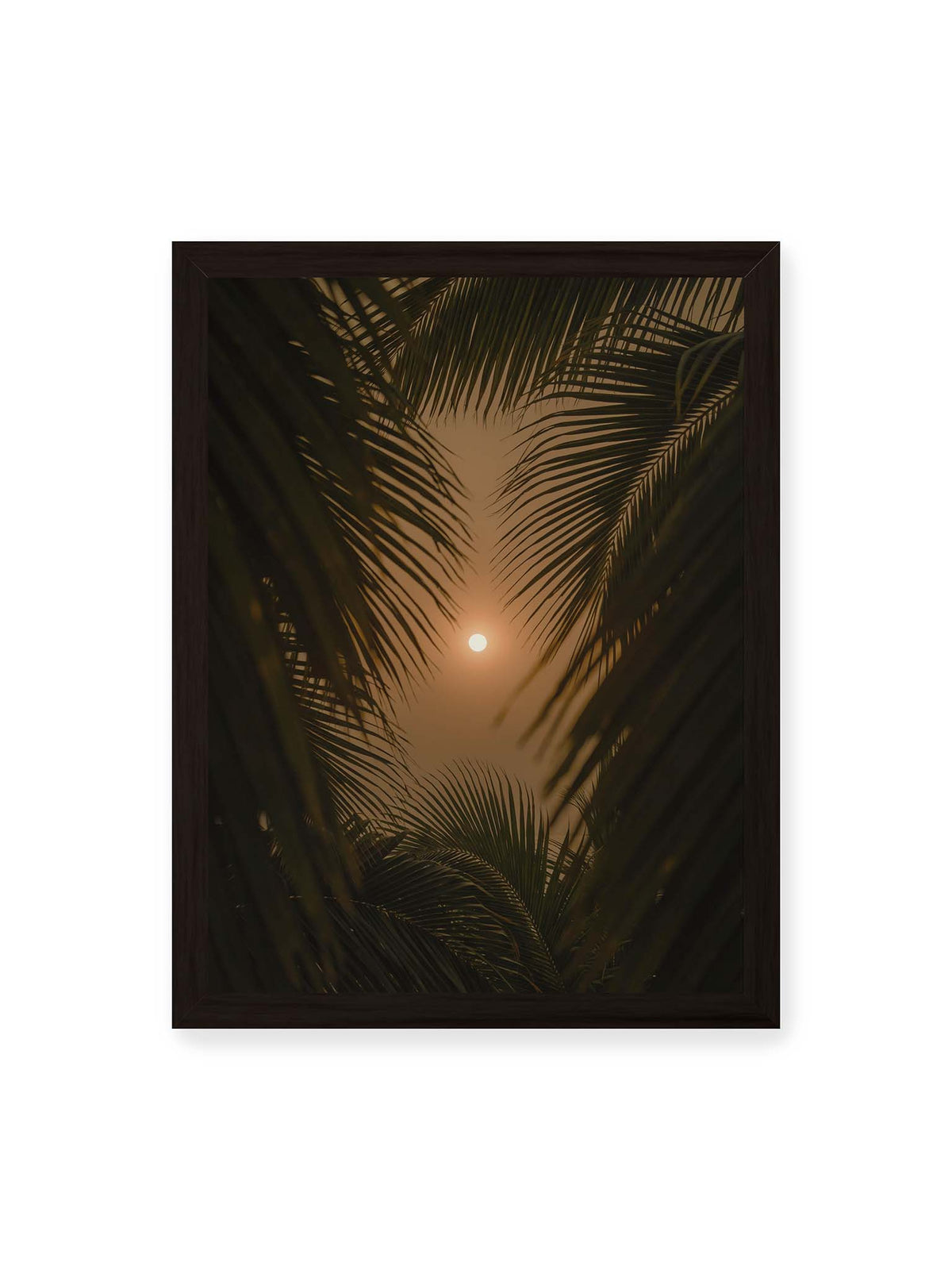 30x40 cm, schwarzer Rahmen – Helle Sonne zwischen dunklen, überlagernden Palmwedeln vor einem warm orangefarbenen Himmel.