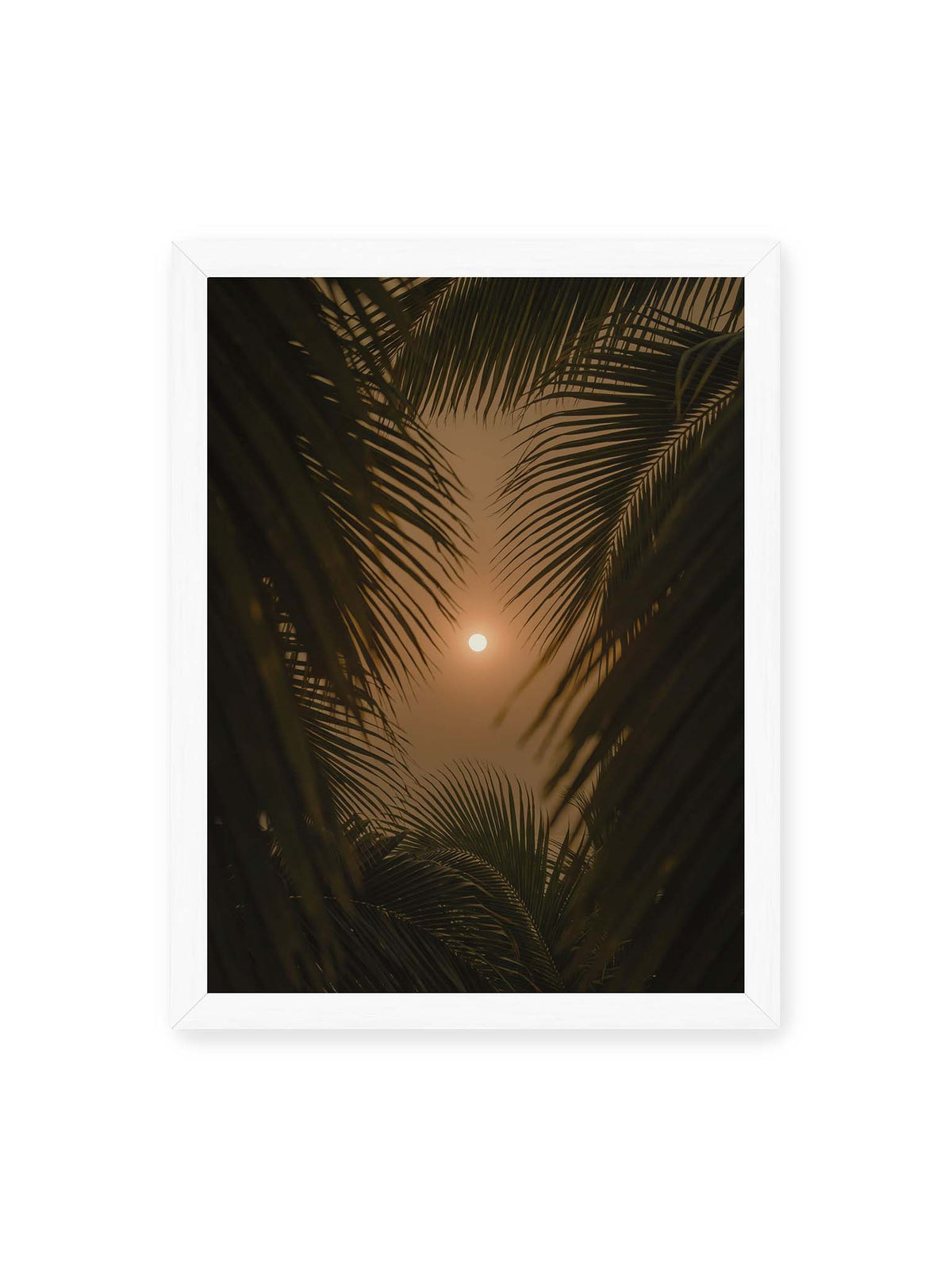 30x40 cm, weißer Rahmen – Helle Sonne zwischen dunklen, überlagernden Palmwedeln vor einem warm orangefarbenen Himmel.