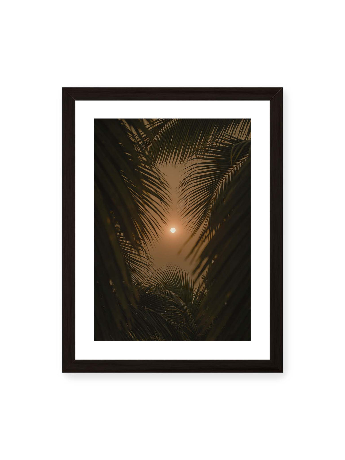 30x40 cm, weißer Galerie-Rand, schwarzer Rahmen – Helle Sonne zwischen dunklen, überlagernden Palmwedeln vor einem warm orangefarbenen Himmel.