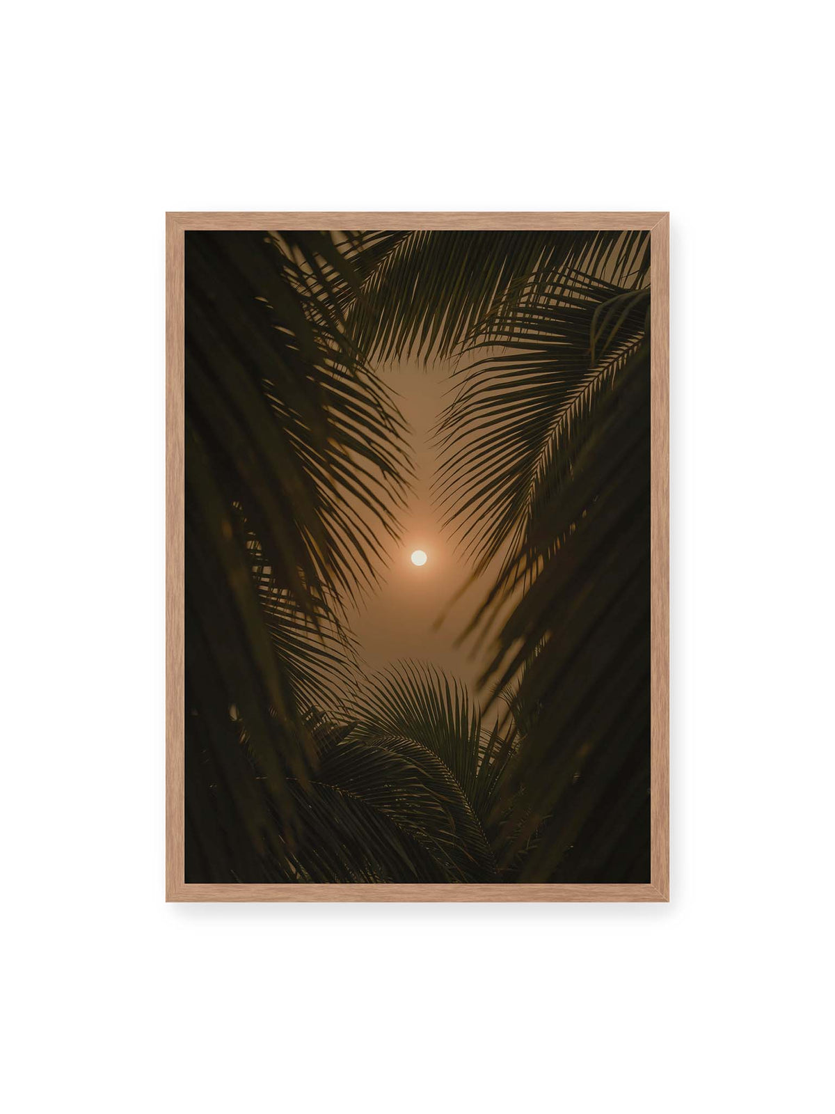 50x70 cm, Eichenrahmen – Helle Sonne zwischen dunklen, überlagernden Palmwedeln vor einem warm orangefarbenen Himmel.