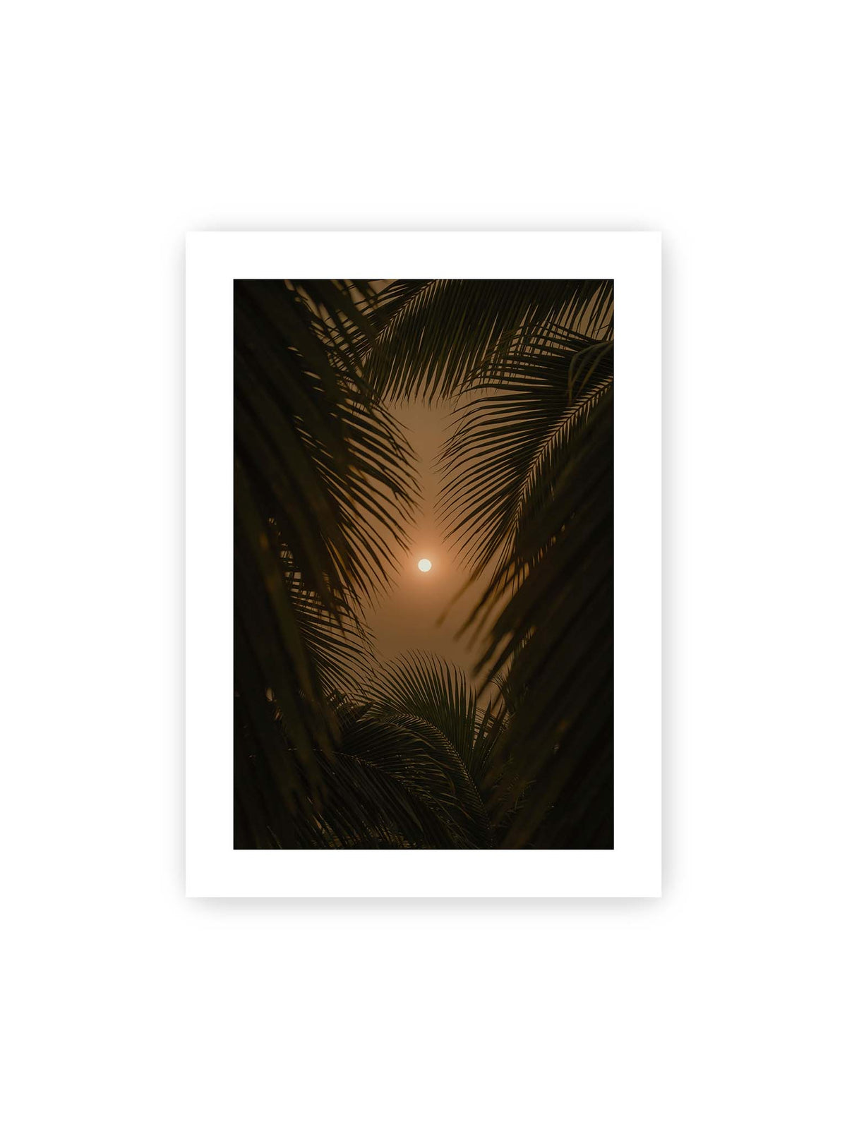50x70 cm, weißer Galerie-Rand – Helle Sonne zwischen dunklen, überlagernden Palmwedeln vor einem warm orangefarbenen Himmel.