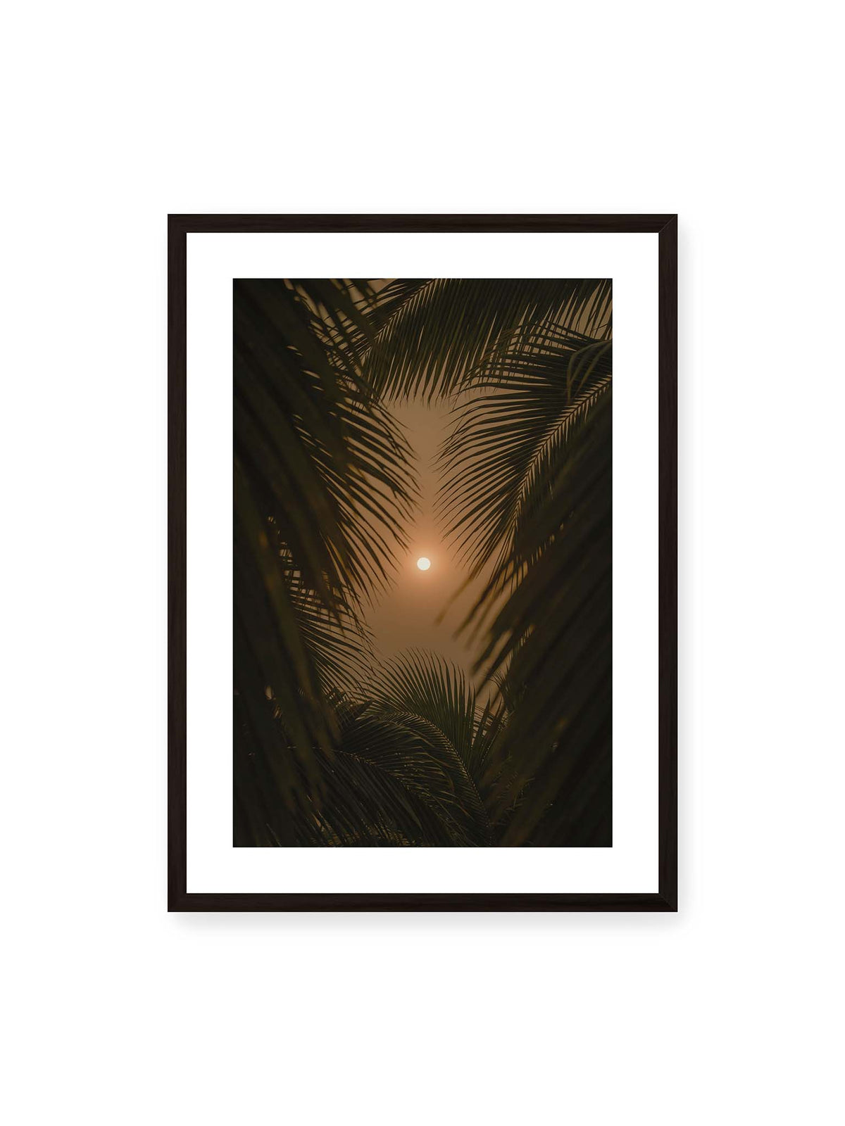 50x70 cm, weißer Galerie-Rand, schwarzer Rahmen – Helle Sonne zwischen dunklen, überlagernden Palmwedeln vor einem warm orangefarbenen Himmel.