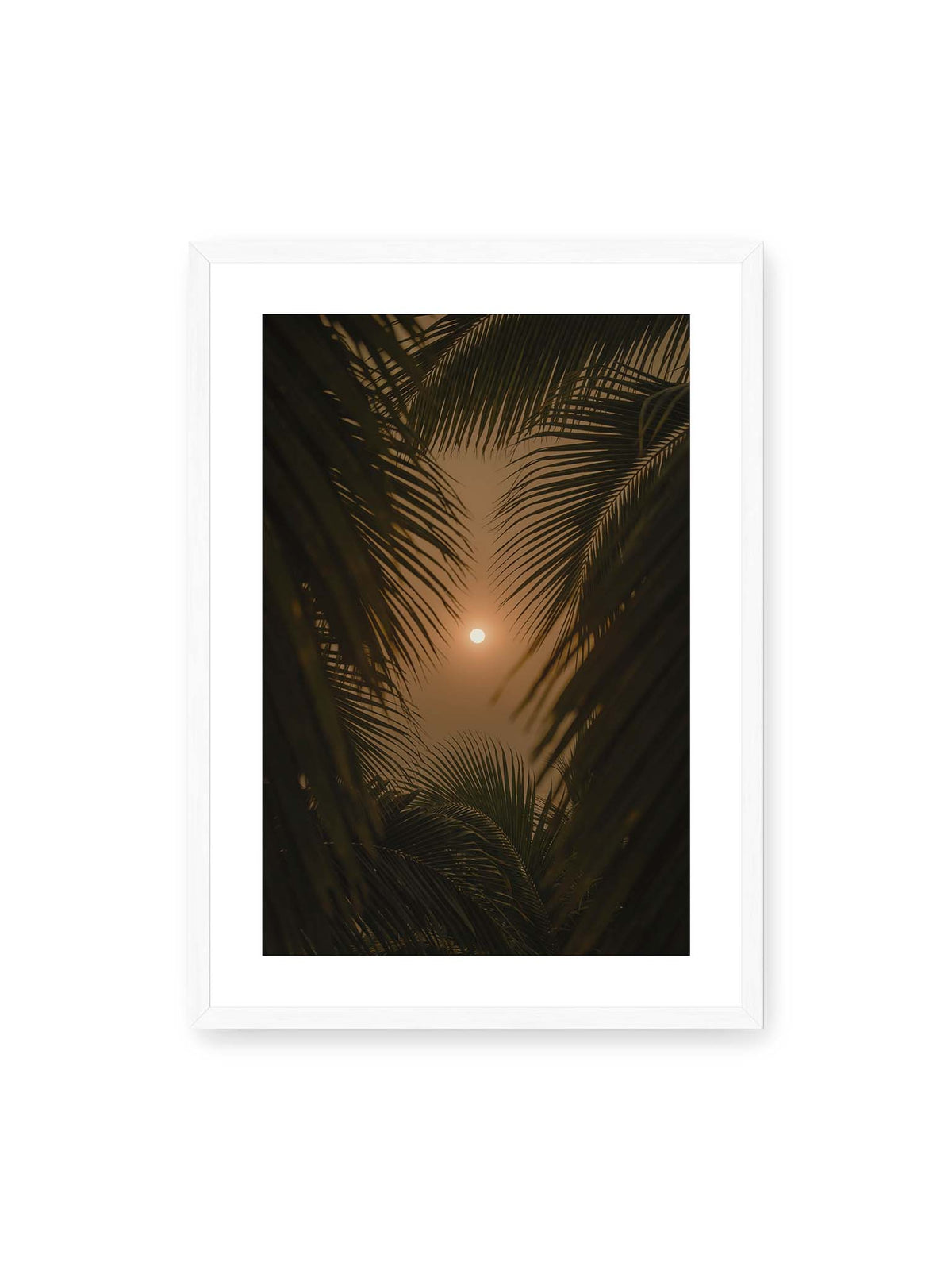 50x70 cm, weißer Galerie-Rand, weißer Rahmen – Helle Sonne zwischen dunklen, überlagernden Palmwedeln vor einem warm orangefarbenen Himmel.