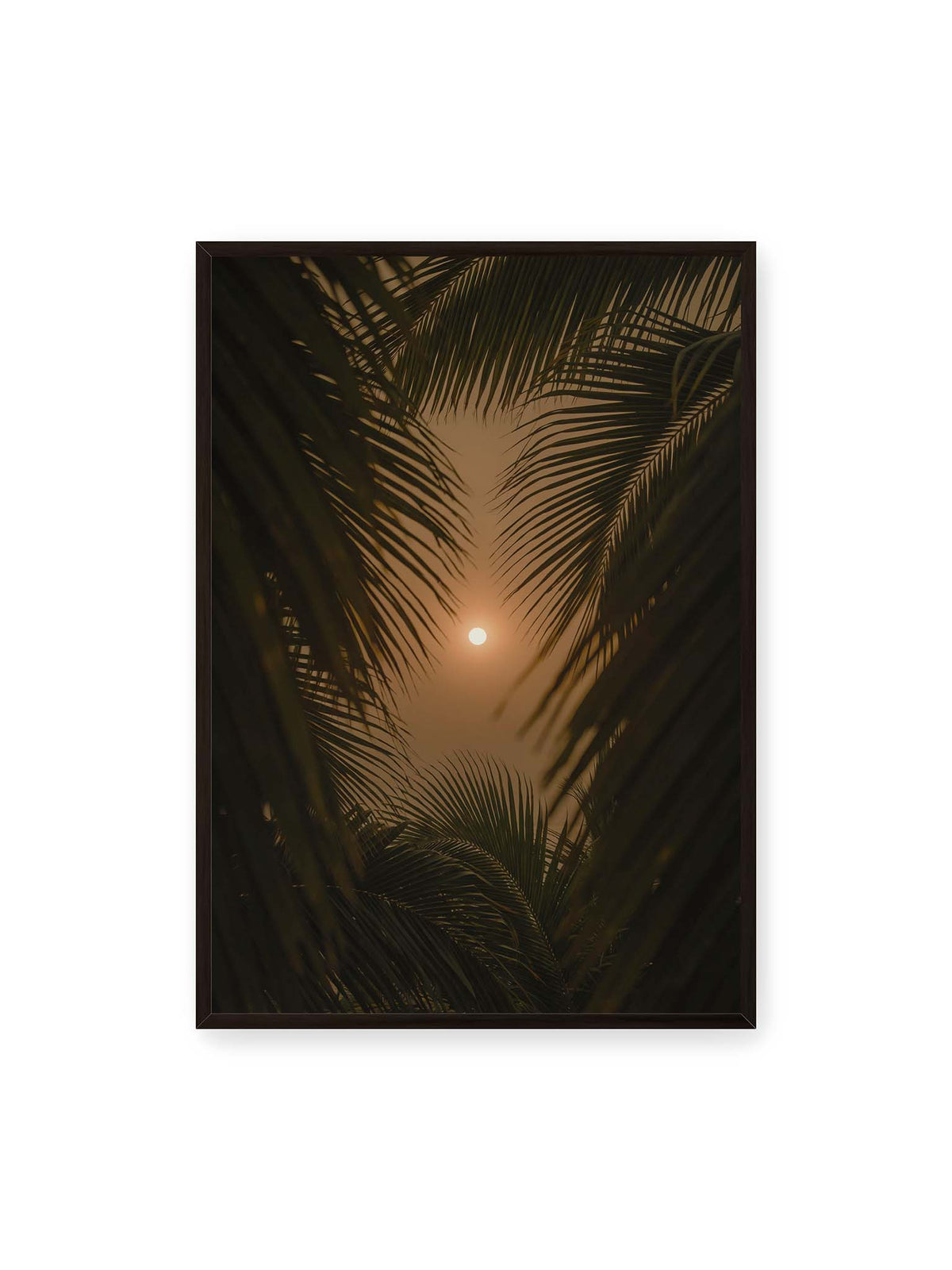 70x100 cm, schwarzer Rahmen – Helle Sonne zwischen dunklen, überlagernden Palmwedeln vor einem warm orangefarbenen Himmel.