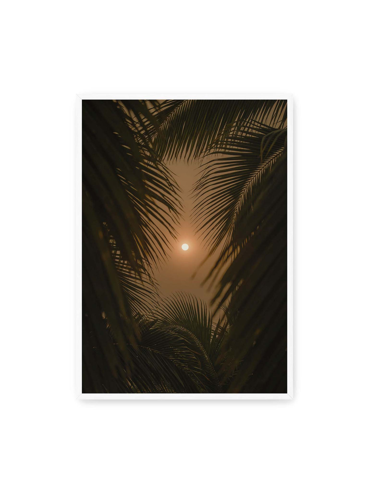 70x100 cm, weißer Rahmen – Helle Sonne zwischen dunklen, überlagernden Palmwedeln vor einem warm orangefarbenen Himmel.