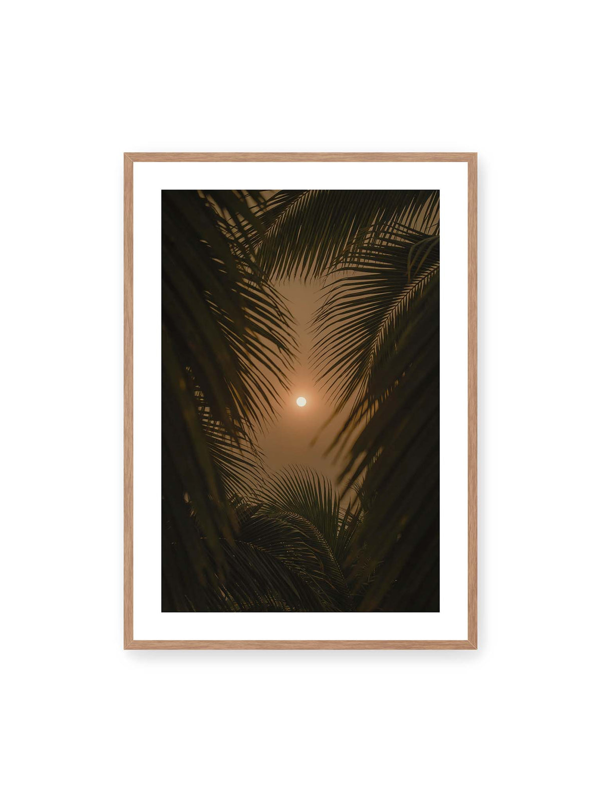 70x100 cm, weißer Galerie-Rand, Eichenrahmen – Helle Sonne zwischen dunklen, überlagernden Palmwedeln vor einem warm orangefarbenen Himmel.