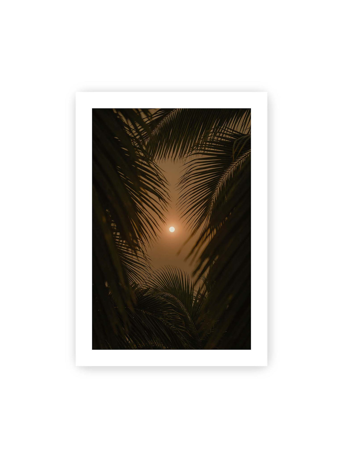 70x100 cm, weißer Galerie-Rand – Helle Sonne zwischen dunklen, überlagernden Palmwedeln vor einem warm orangefarbenen Himmel.