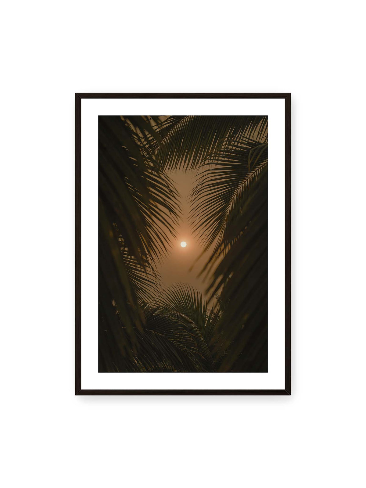 70x100 cm, weißer Galerie-Rand, schwarzer Rahmen – Helle Sonne zwischen dunklen, überlagernden Palmwedeln vor einem warm orangefarbenen Himmel.
