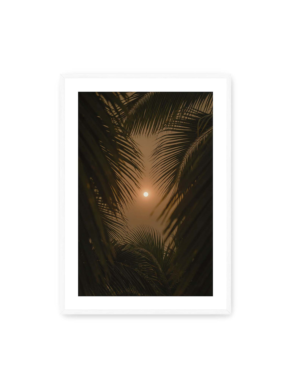 70x100 cm, weißer Galerie-Rand, weißer Rahmen – Helle Sonne zwischen dunklen, überlagernden Palmwedeln vor einem warm orangefarbenen Himmel.