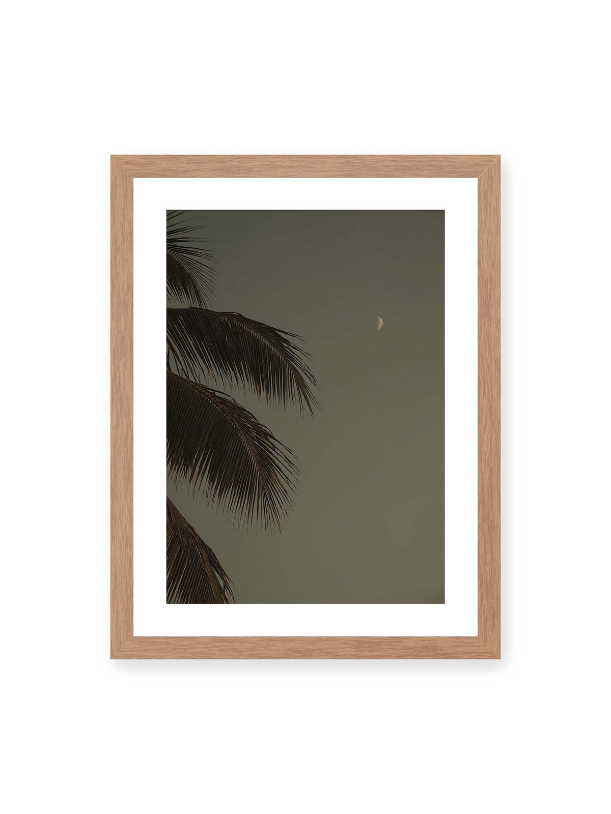 30x40 cm, weißer Galerie-Rand, Eichenrahmen – Schmale Mondsichel in gedämpftem Himmel, eingerahmt von dunklen Palmwedeln am linken Bildrand.