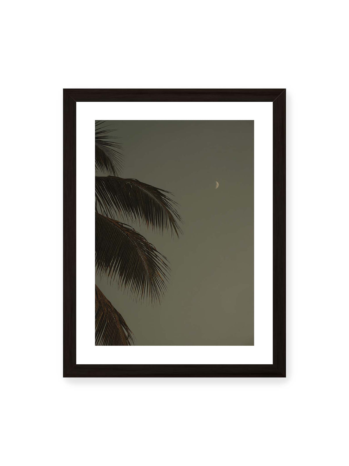 30x40 cm, weißer Galerie-Rand, schwarzer Rahmen – Schmale Mondsichel in gedämpftem Himmel, eingerahmt von dunklen Palmwedeln am linken Bildrand.