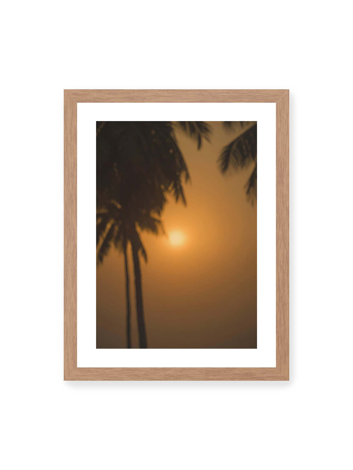 30x40 cm, weißer Galerie-Rand, Eichenrahmen – Unscharfe dunkle Palmen vor goldenem Himmel mit einer hell leuchtenden Sonne zwischen den Silhouetten.