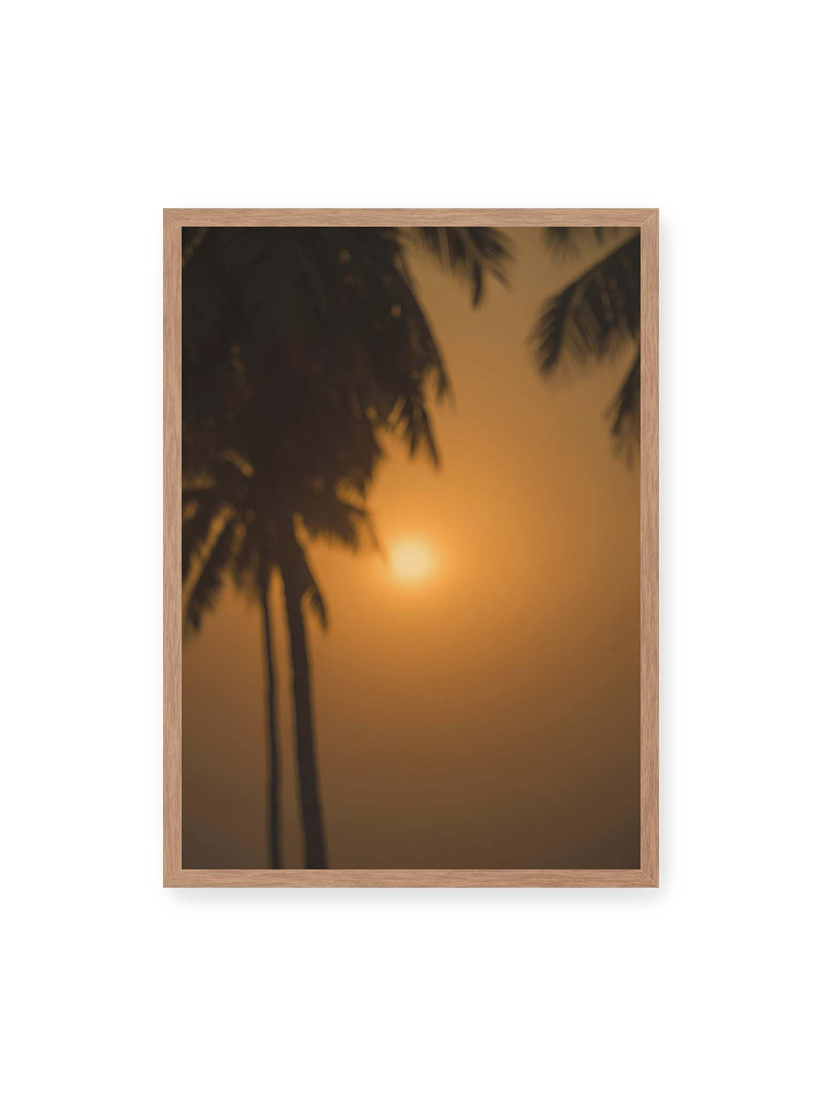 50x70 cm, Eichenrahmen – Unscharfe dunkle Palmen vor goldenem Himmel mit einer hell leuchtenden Sonne zwischen den Silhouetten.