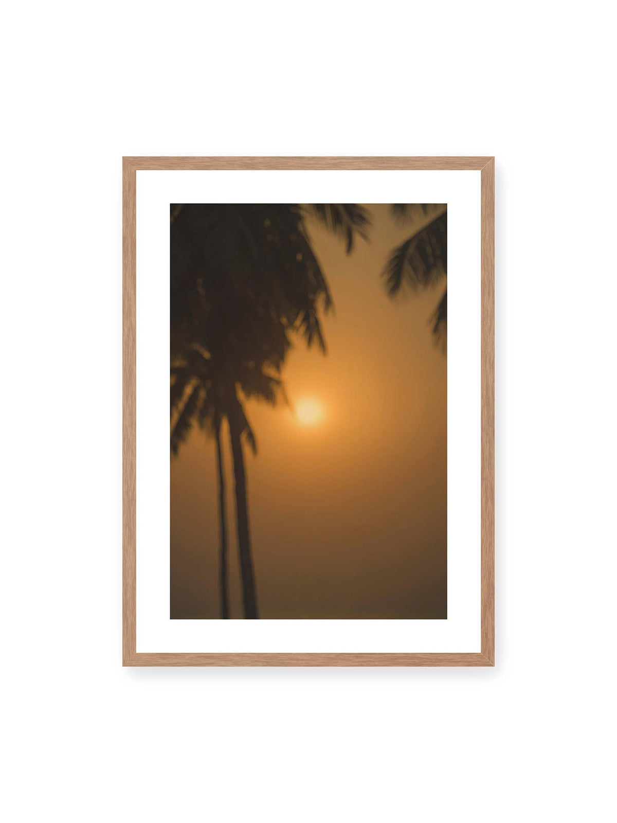 50x70 cm, weißer Galerie-Rand, Eichenrahmen – Unscharfe dunkle Palmen vor goldenem Himmel mit einer hell leuchtenden Sonne zwischen den Silhouetten.