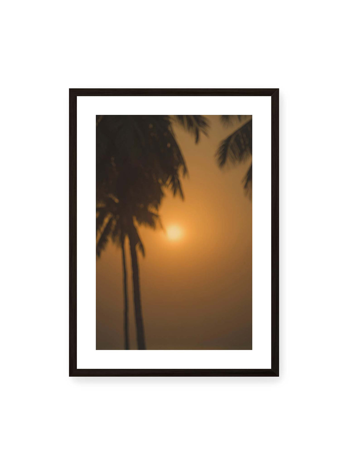 50x70 cm, weißer Galerie-Rand, schwarzer Rahmen – Unscharfe dunkle Palmen vor goldenem Himmel mit einer hell leuchtenden Sonne zwischen den Silhouetten.