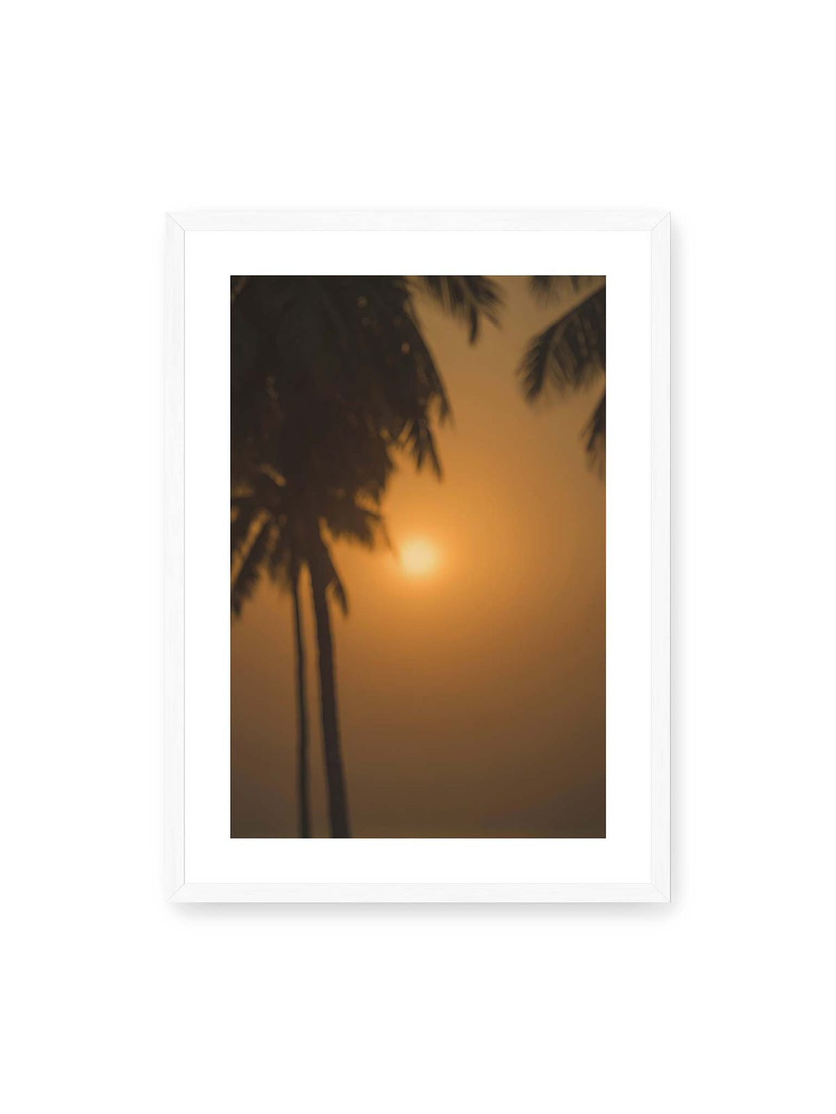 50x70 cm, weißer Galerie-Rand, weißer Rahmen – Unscharfe dunkle Palmen vor goldenem Himmel mit einer hell leuchtenden Sonne zwischen den Silhouetten.
