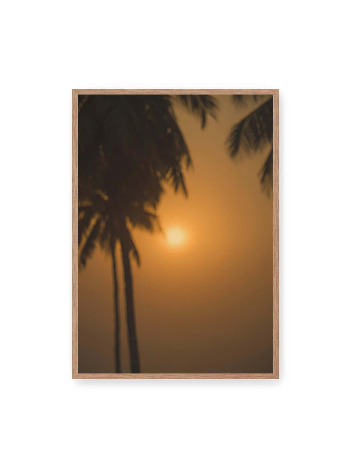 70x100 cm, Eichenrahmen – Unscharfe dunkle Palmen vor goldenem Himmel mit einer hell leuchtenden Sonne zwischen den Silhouetten.
