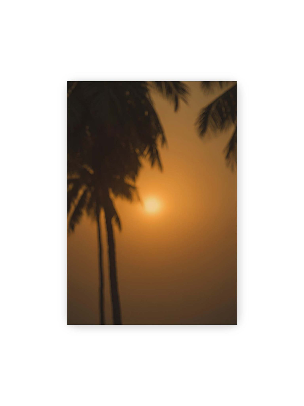 70x100 cm – Unscharfe dunkle Palmen vor goldenem Himmel mit einer hell leuchtenden Sonne zwischen den Silhouetten.