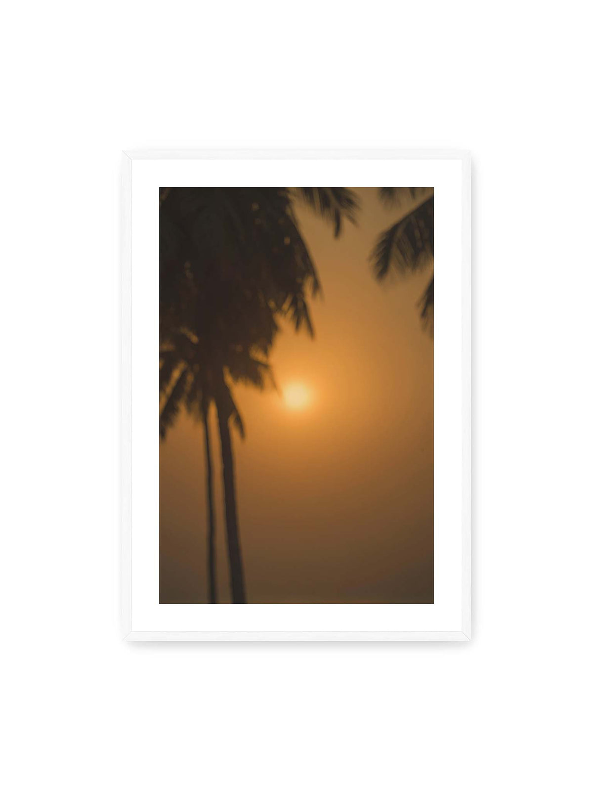 70x100 cm, weißer Galerie-Rand, weißer Rahmen – Unscharfe dunkle Palmen vor goldenem Himmel mit einer hell leuchtenden Sonne zwischen den Silhouetten.