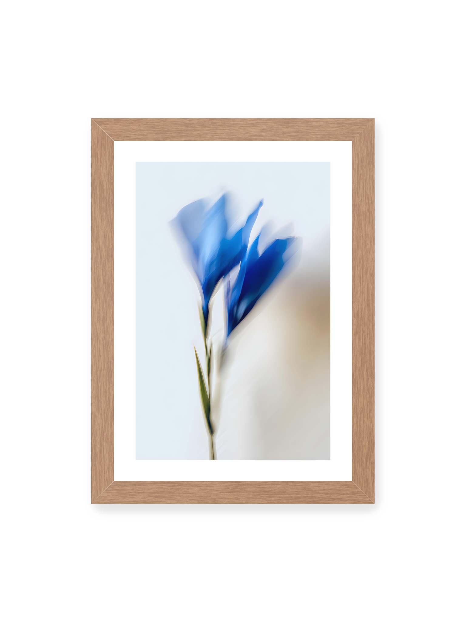 21x30 cm, weißer Galerie-Rand, Eichenrahmen – Verschwommene blaue Blütenblätter in sanften Bewegungen vor einem hellen Hintergrund.