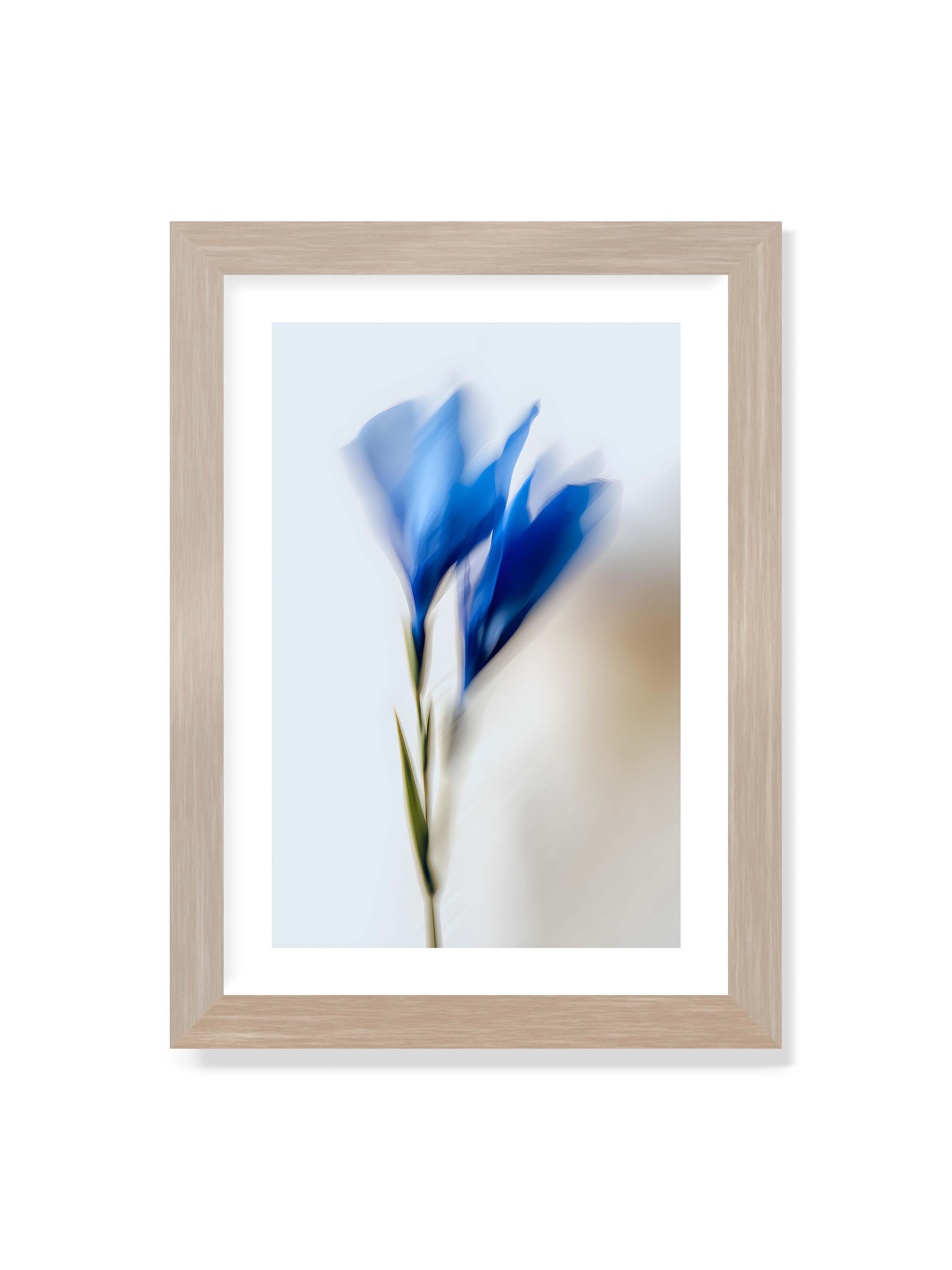 21x30 cm mit weißem Galerie-Rand im Eichenrahmen – Verschwommene blaue Blütenblätter in sanften Bewegungen vor einem hellen Hintergrund.