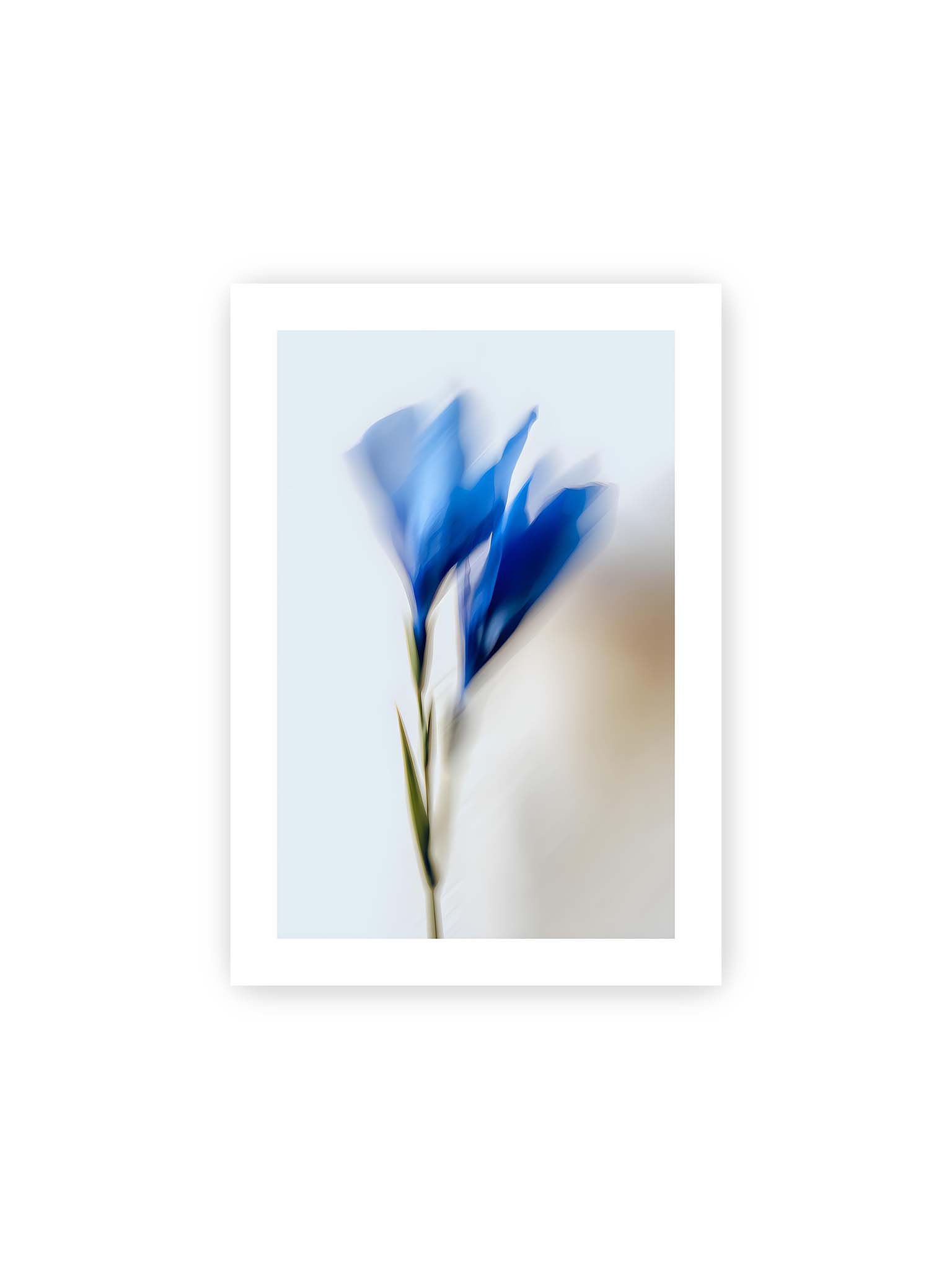 21x30 cm, weißer Galerie-Rand – Verschwommene blaue Blütenblätter in sanften Bewegungen vor einem hellen Hintergrund.