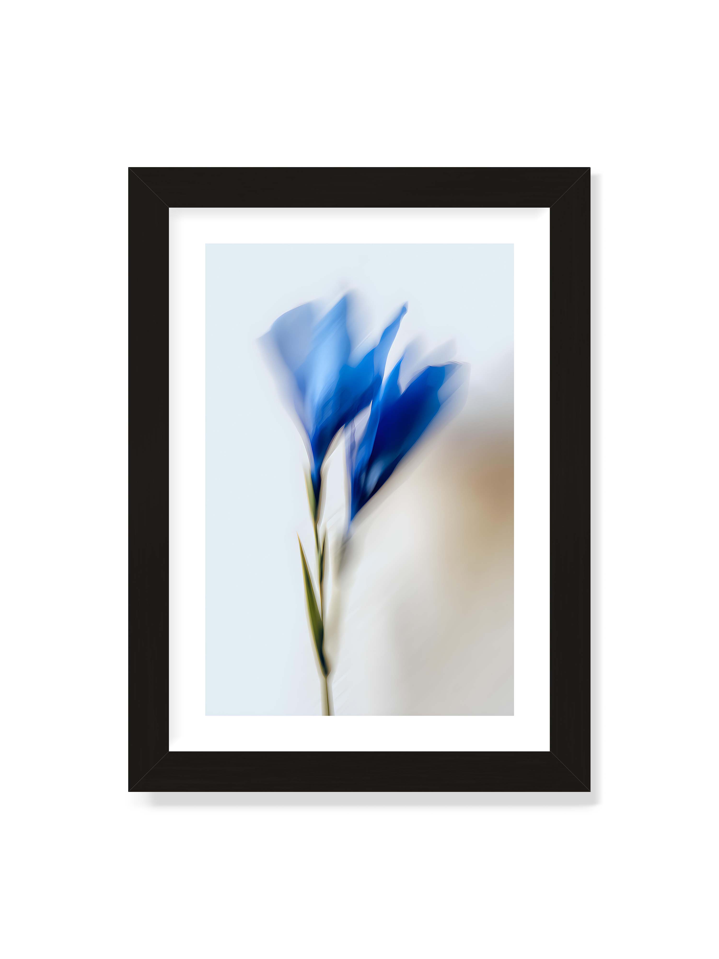 21x30 cm mit weißem Galerie-Rand mit schwarzem Rahmen – Verschwommene blaue Blütenblätter in sanften Bewegungen vor einem hellen Hintergrund.