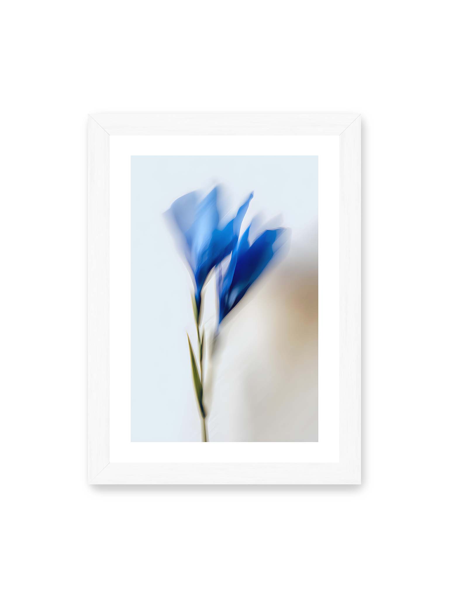 21x30 cm, weißer Galerie-Rand, weißer Rahmen – Verschwommene blaue Blütenblätter in sanften Bewegungen vor einem hellen Hintergrund.