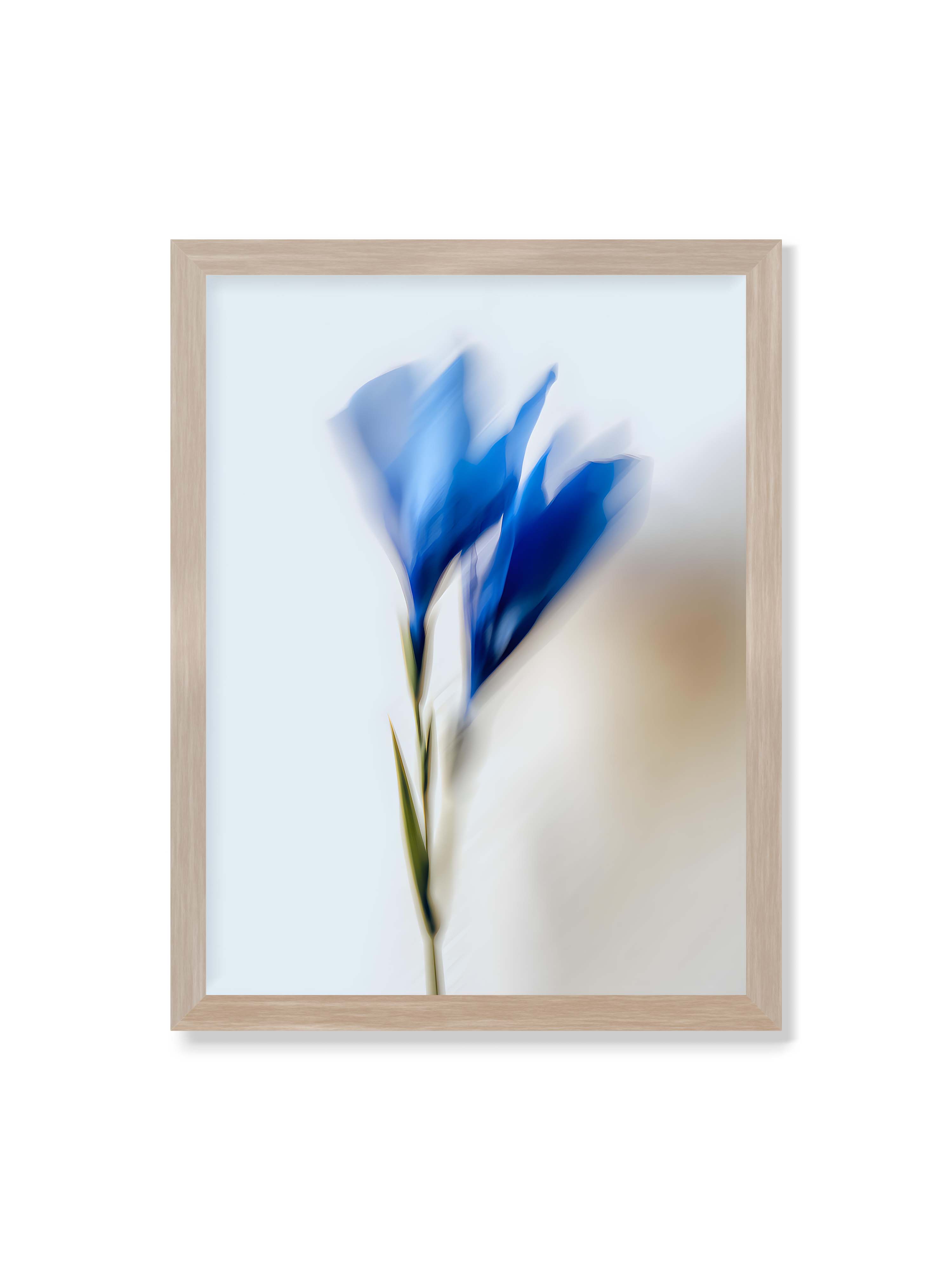 30x40 cm ohne Galerie-Rand im Eichenrahmen – Verschwommene blaue Blütenblätter in sanften Bewegungen vor einem hellen Hintergrund.