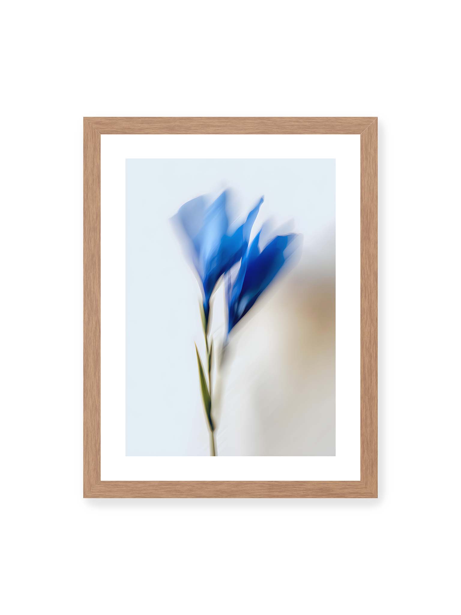 30x40 cm, weißer Galerie-Rand, Eichenrahmen – Verschwommene blaue Blütenblätter in sanften Bewegungen vor einem hellen Hintergrund.